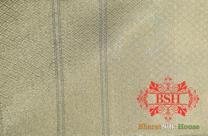 Grey Color Glass Tissue Silk Saree - Bharat Silk House Tissue Silk