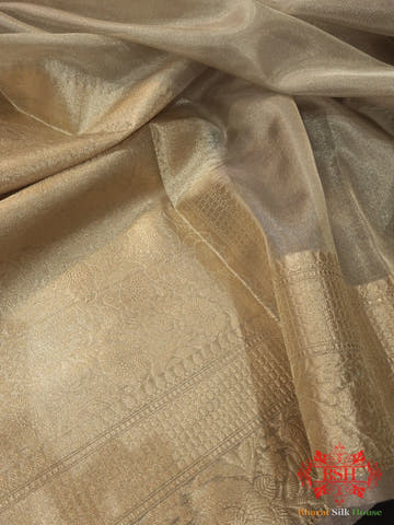 Grey Color Glass Tissue Silk Saree - Bharat Silk House Tissue Silk