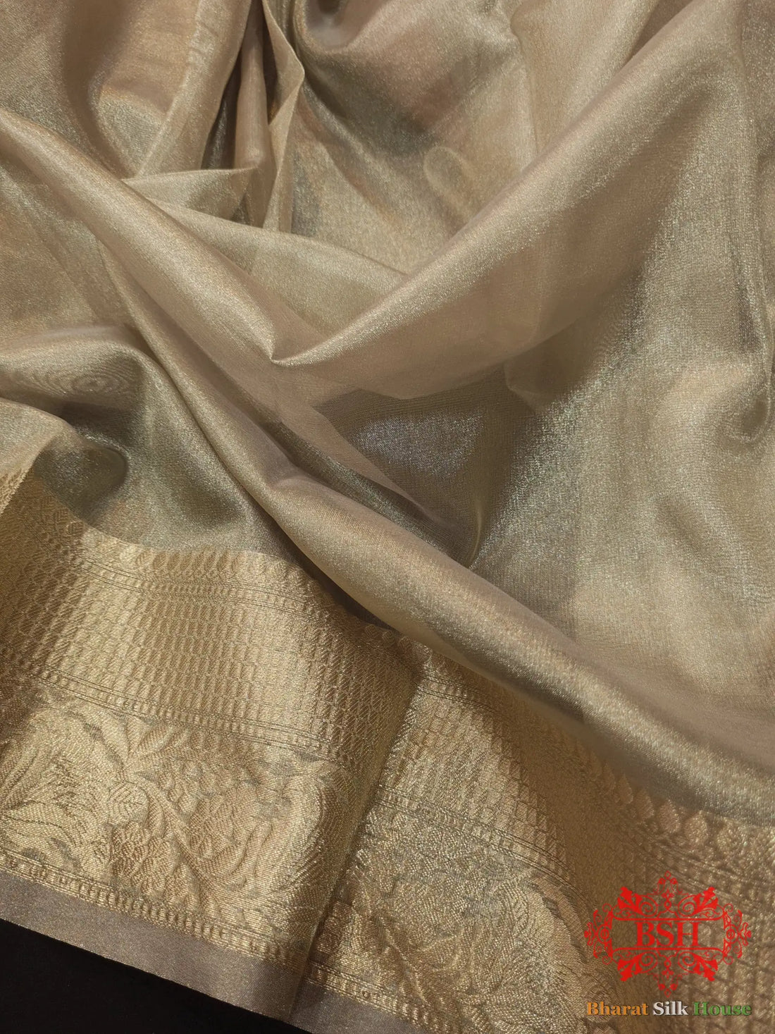 Grey Color Glass Tissue Silk Saree - Bharat Silk House Tissue Silk