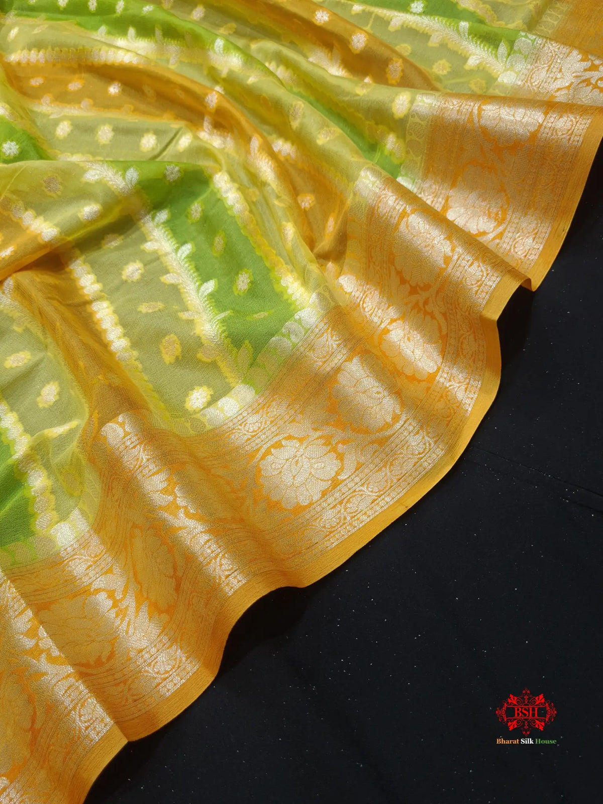 Multi Colour Pure Chiffon Handbrush Dyed Reshmi Zari Silk Saree - Bharat Silk House Chiffon Sarees