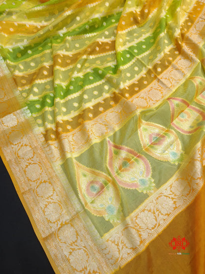 Multi Colour Pure Chiffon Handbrush Dyed Reshmi Zari Silk Saree - Bharat Silk House Chiffon Sarees