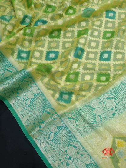Multi Colour Pure Chiffon Handbrush Dyed Reshmi Zari Silk Saree - Bharat Silk House Chiffon Sarees
