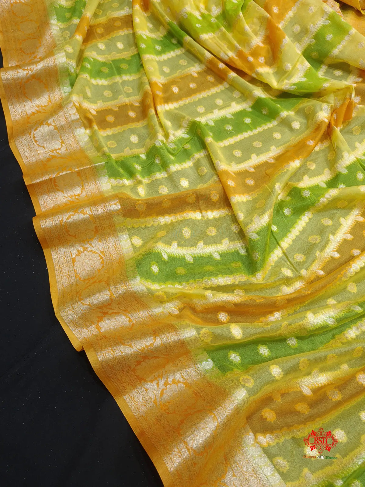Multi Colour Pure Chiffon Handbrush Dyed Reshmi Zari Silk Saree - Bharat Silk House Chiffon Sarees